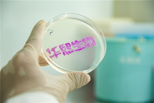 企業(yè)如何助力國(guó)家發(fā)展新質(zhì)生產(chǎn)力 華熙生物 大力發(fā)展合成生物技術(shù)