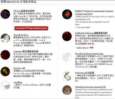 biotium產(chǎn)品中國區(qū)總代理 上海開放生物科技