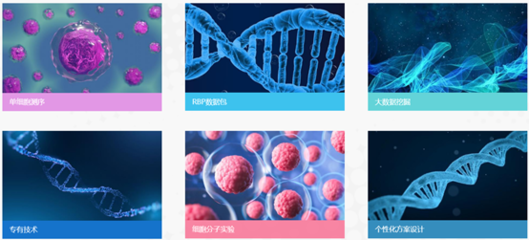 簡(jiǎn)道云平臺(tái),武漢瑞興生物科技的另一個(gè)基礎(chǔ)底座!