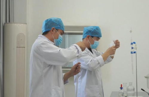 伊吾縣參展企業(yè)開啟亞博會(huì)備戰(zhàn)模式